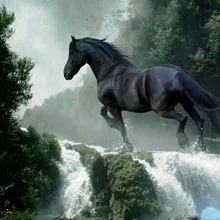 5D caballo bordado con diamante DIY pintura de diamante punto de cruz manualidades cuadrado rombo mosaico animal patrón decoración del hogar M580(China)