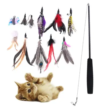 

10Pcs Replacement Cat Feather Toy Set Pet Kitten Playing Rod Strectchable Teaser Wand Toy for Cats Funny Exercise Stick C42