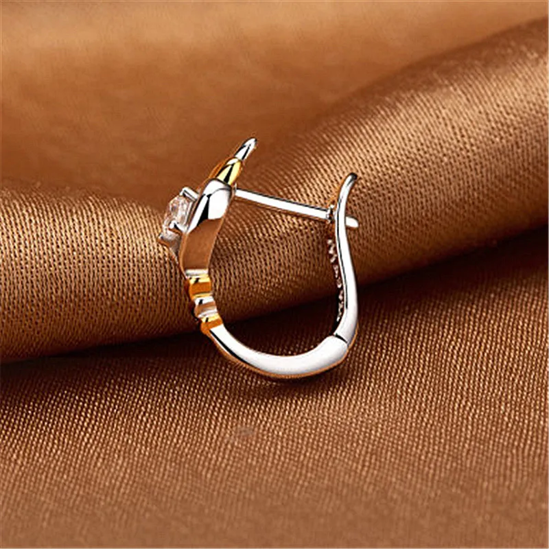 13024276972_1255606688