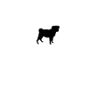 24Pug