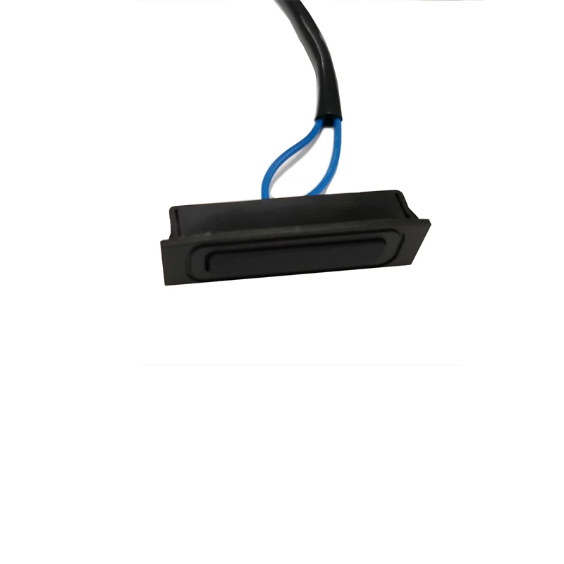 Teana trunk button (3)