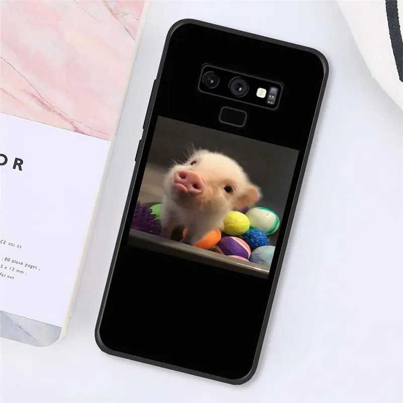 Cute Little Pink Pet Pig