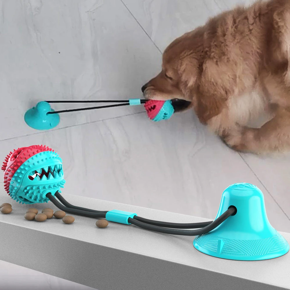 Pet Dog Toys Silicon Suction Cup Tug Dog Toy Dogs Push Ball Toy Pet Tooth  Cleaning Dog Toothbrush For Puppy Large Dog Biting Toy|Dog Toys| -  AliExpress