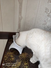 Cuencos elevados para gatos y perros, recipiente de comida elevado de 15 ° con soporte, individual, negro y blanco