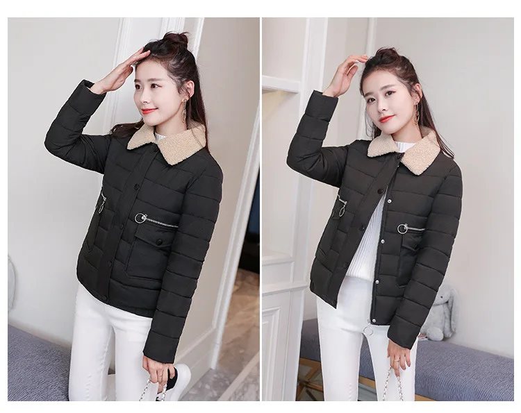 Cotton_31.jpg