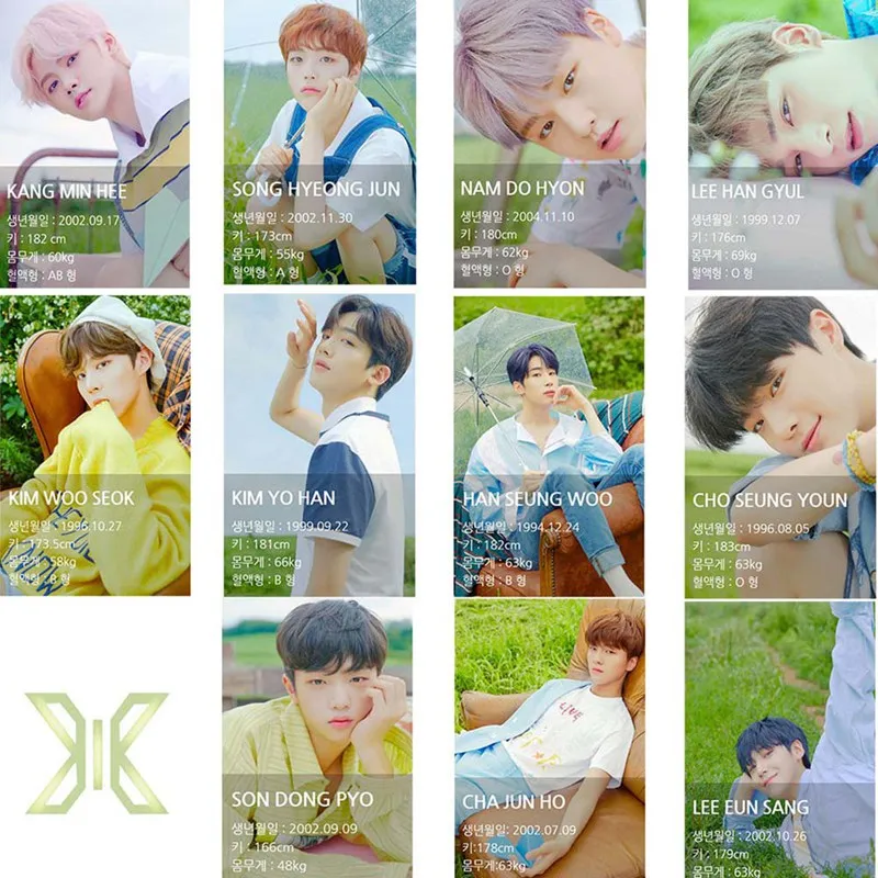 11 шт./компл. KPOP X1 окружающие прозрачный карты фото карты Фотокарта фотографии канцелярские украшения принадлежности вентилятора подарки