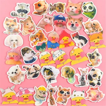 

1 PC Cartoon Funny animal Acrylic Brooch Badges Icons on The Pin Kawaii Brooch Badges for Clothing Decoration Pins Accessories