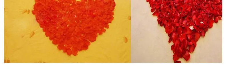 2640407434_855843664