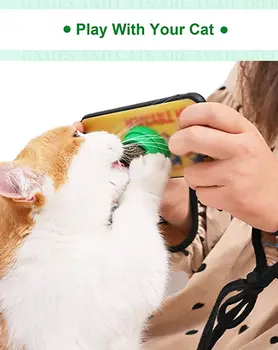 

Pet Cat Natural Catnip Treat Ball Favor hang on wall Home Chasing Toys Safe Edible Treating Supplies Can Be Sticky On Wall