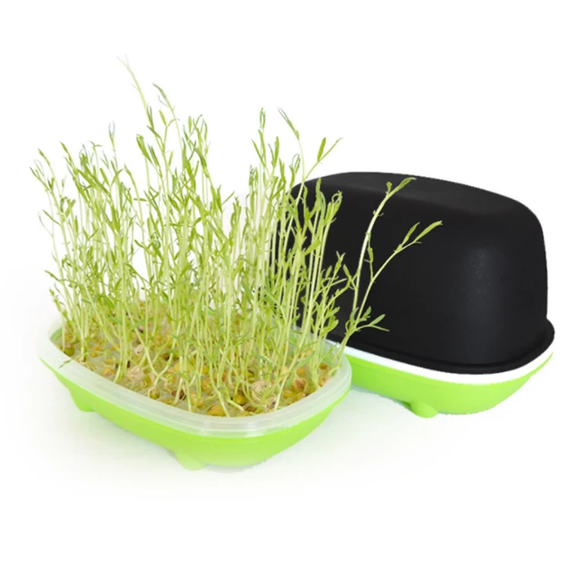 Otthoni Kerti Hidroponikus Földimogyoró -Csírázás Doboz Bab Borsó Búza Palánták Spruter Tálca Macska Füves Termesztése Csírázás Segítetlen Ültetési Edény - Image 5