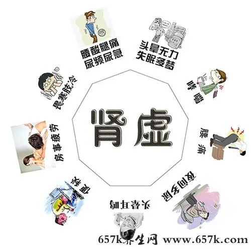 肾虚的原因 爱吃这种东西小心肾虚
