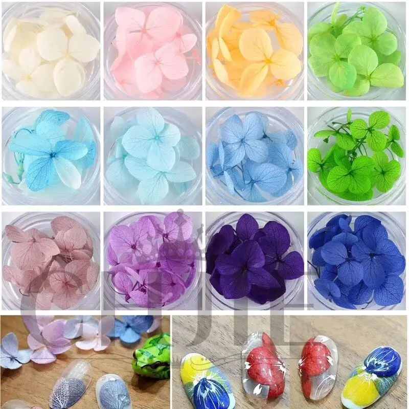 

12 Colors Dried Flowers Eternal Hydrangea Decals DIY Color Four-Petals Real Dry Dried Flower Nature Nail Stickers 12 COLORS/Set