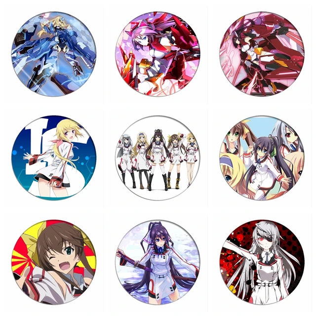 Pin on infinite Stratos Art