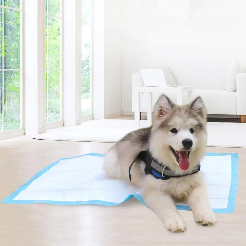 

20/40/50/100Pcs Disposable Pet Dog Diaper Super Absorbent Training Pee Pad Nappy for Small Medium Dog