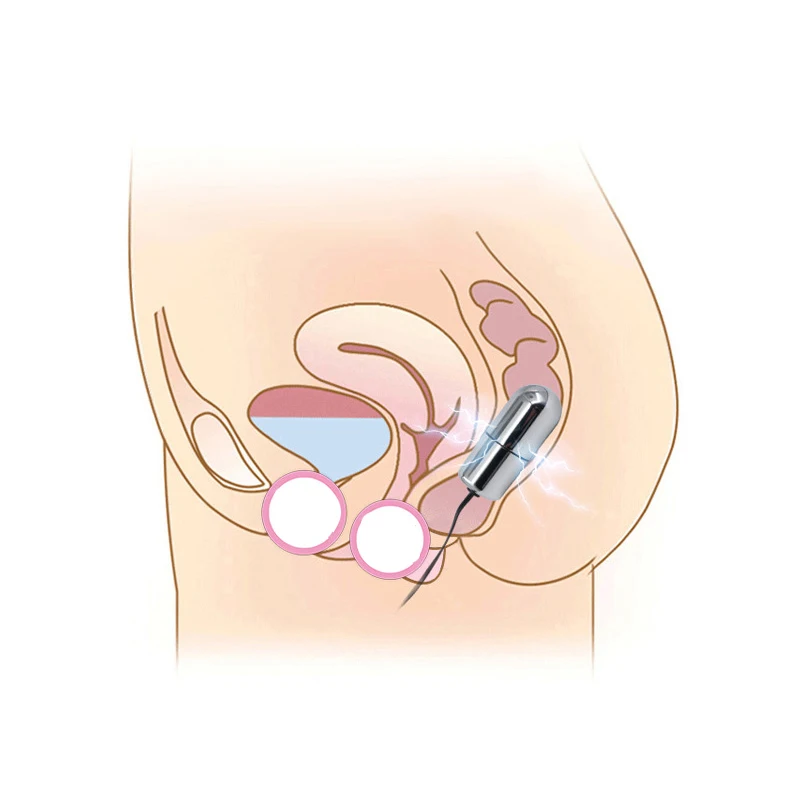 HTB1yZK0aOjrK1RjSsplq6xHmVXaW