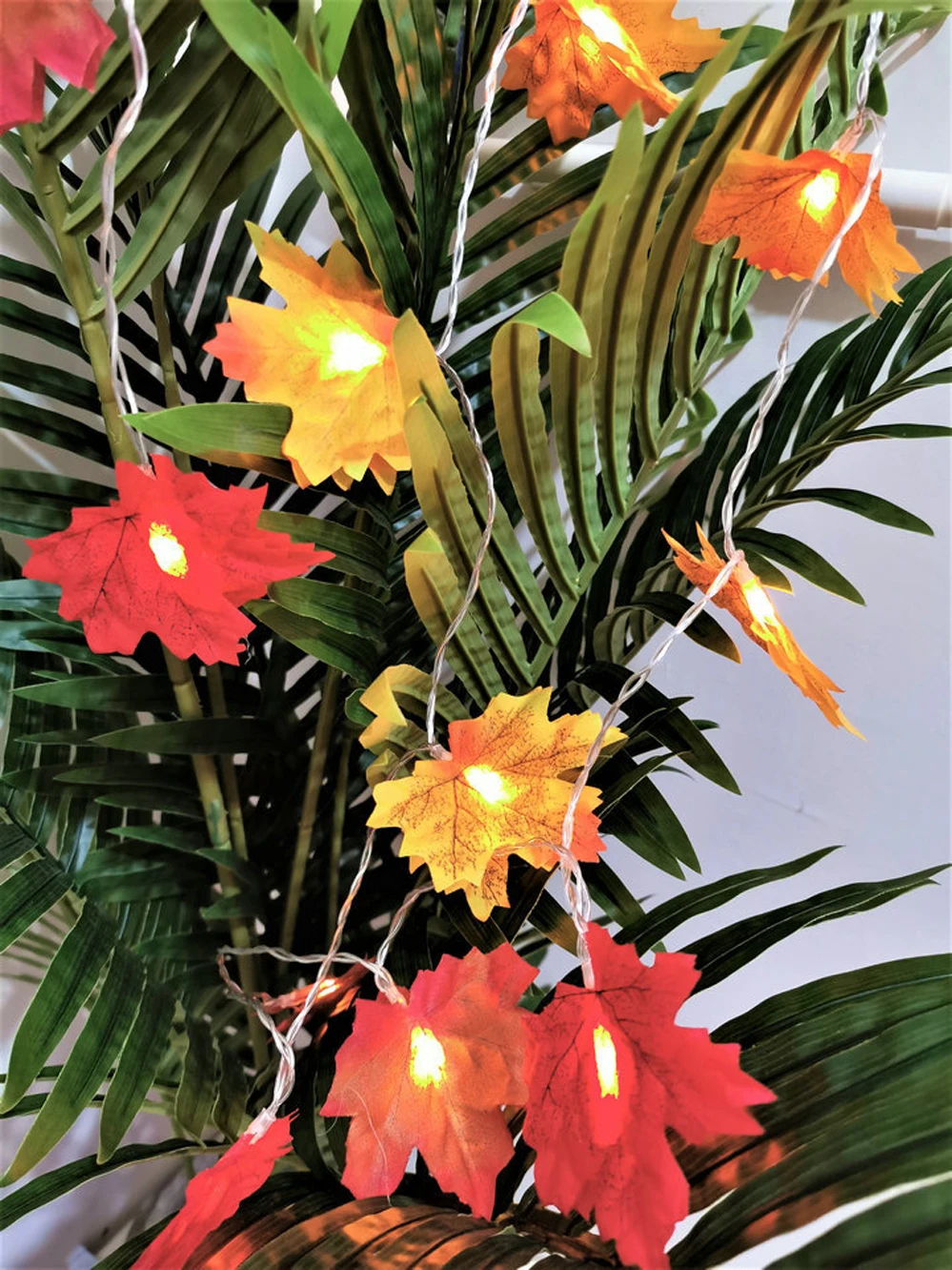 11746802690_1099349780