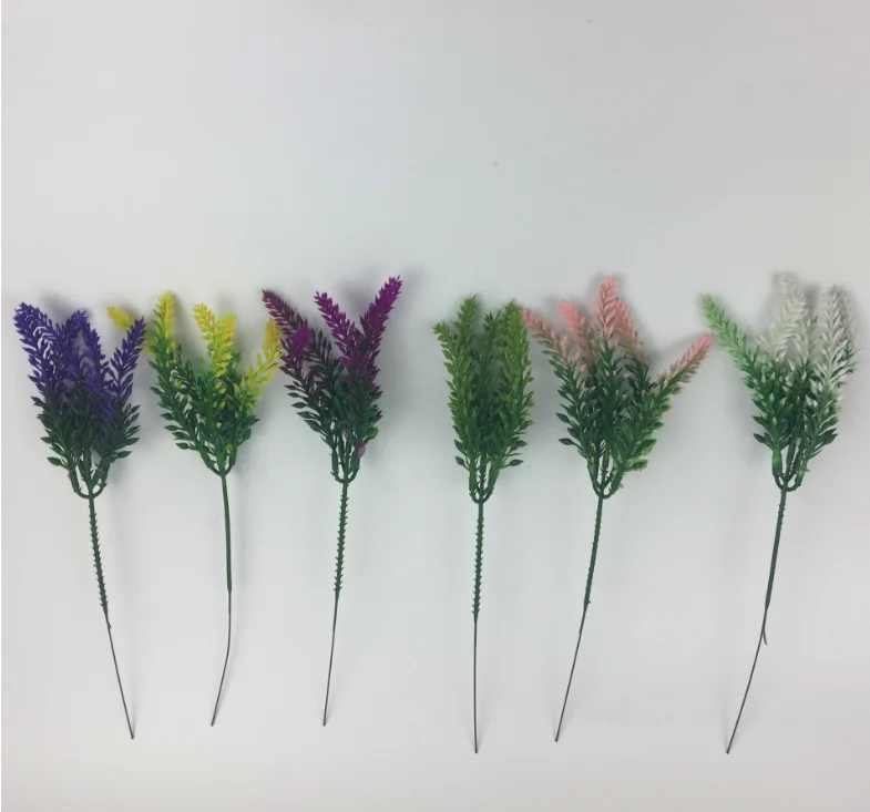 小5叉薰衣草 (1)