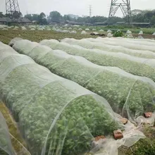1PC PE+UV Plant Cover 3*3.6M Firlar Insect Protection Netting Garden Vegetable Protective Mesh For Protecting Crops 1PC PE+UV Plant Cover 3*3.6M Firlar Insect Protection Netting Garden Vegetable Protective Mesh For Protecting Crops