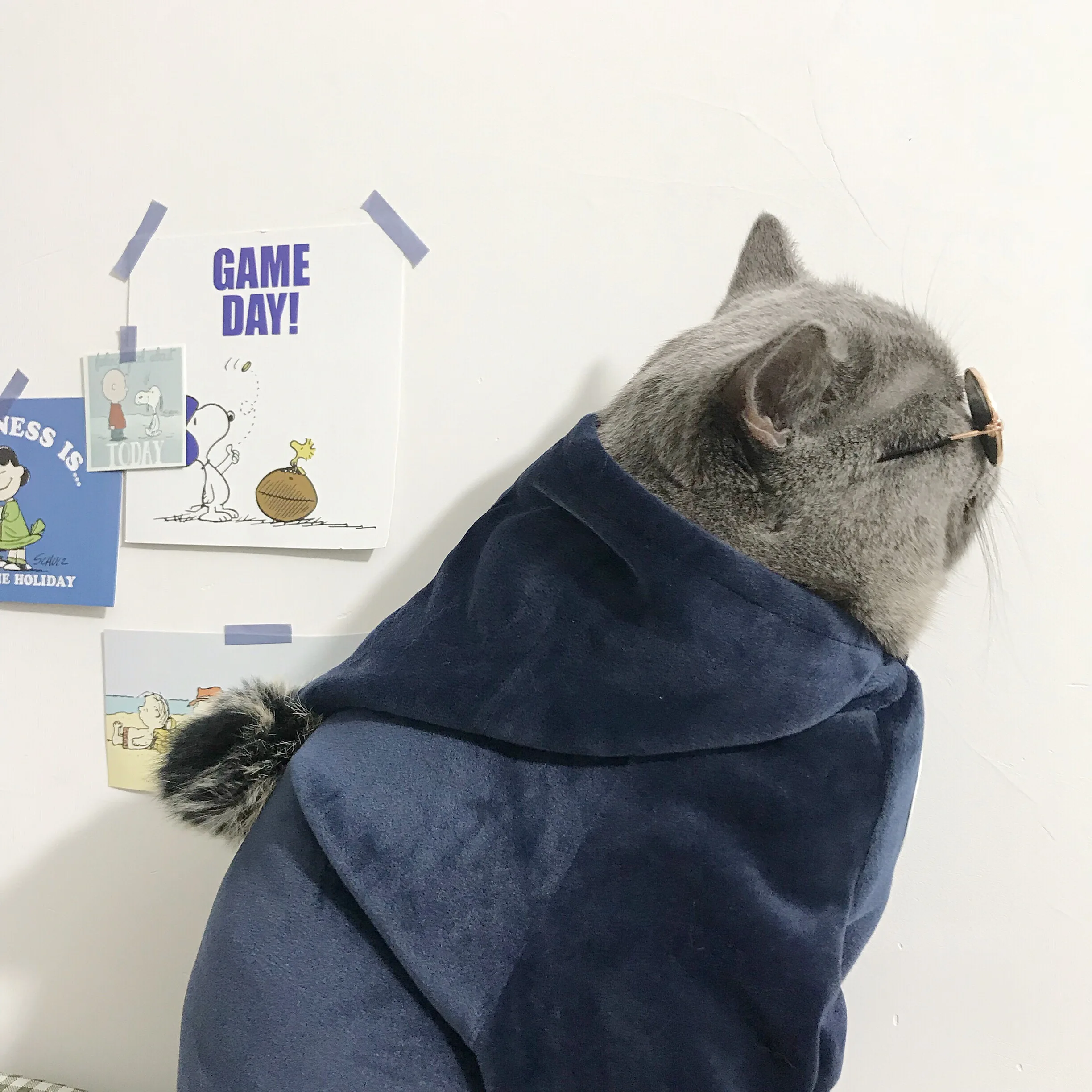 Stylish & Soft Winter Jacket For Cats Smart Cat Store