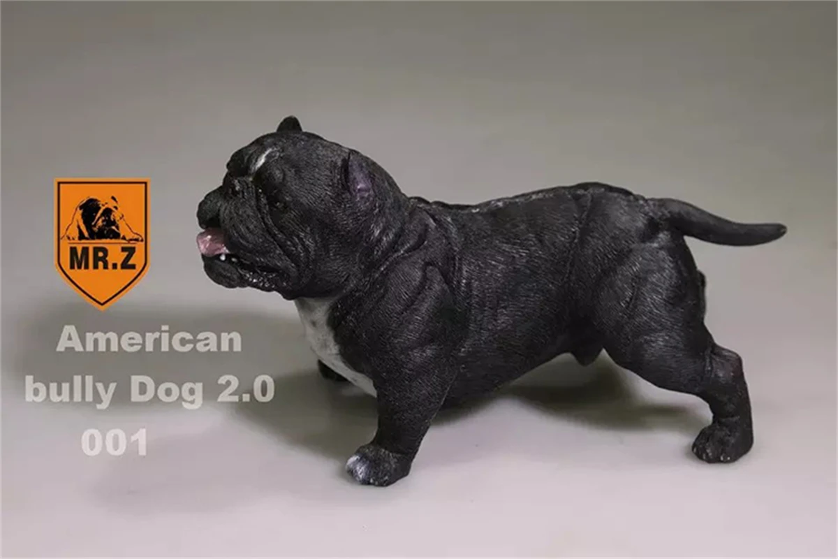 Mr.Z 1/6 American Bully Pitbull Dog Pet Figure Animal Model Decor