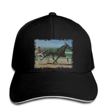 Шлейка гоночная лошадь Sulky Trotter Мужская Новинка бейсбольная Кепка snapback Кепка остроконечная