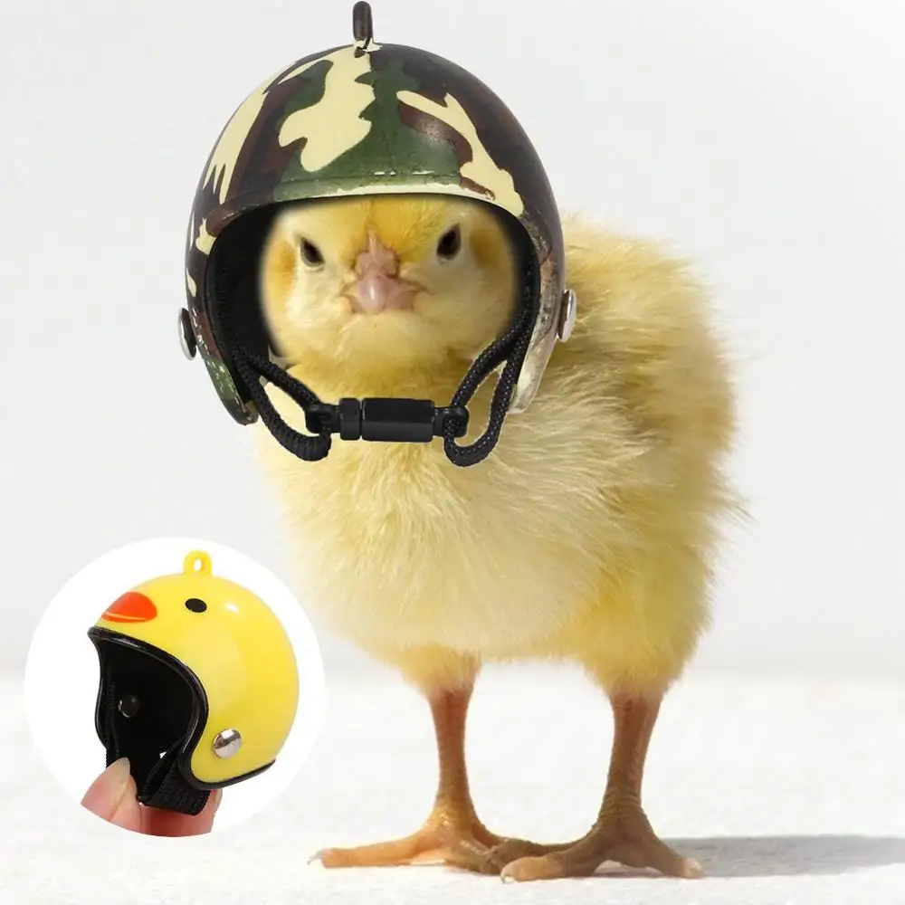 Chicken Helmet For Pets Supplies A7W0 Bird A2D1 Hat Duck Hard Hat Small