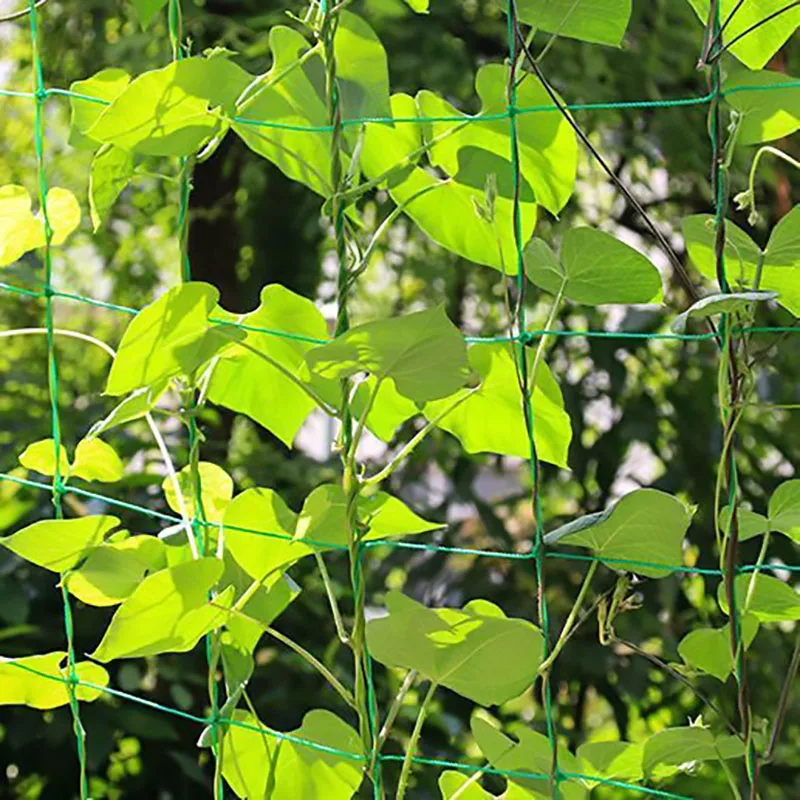 45/36/24 Strands of 10x10cm Cell Plant Climbing Net Garden plant Shelves Net Vegetable Flower Net Garden Weaving Grow Frame 6