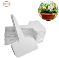 100Pcs PVC Garden Labels White Gardening Plant Sorting Sign Tag Ticket Plastic Writing Plate Board Plug 1