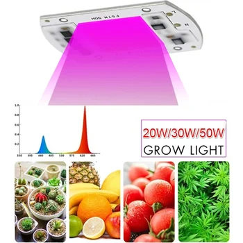 

20W/30W/50W LED Plant Grow COB Chip Light Greenhouse Garden Hydroponic Full Spectrum Growing Lamp for Plants Veg and Flower