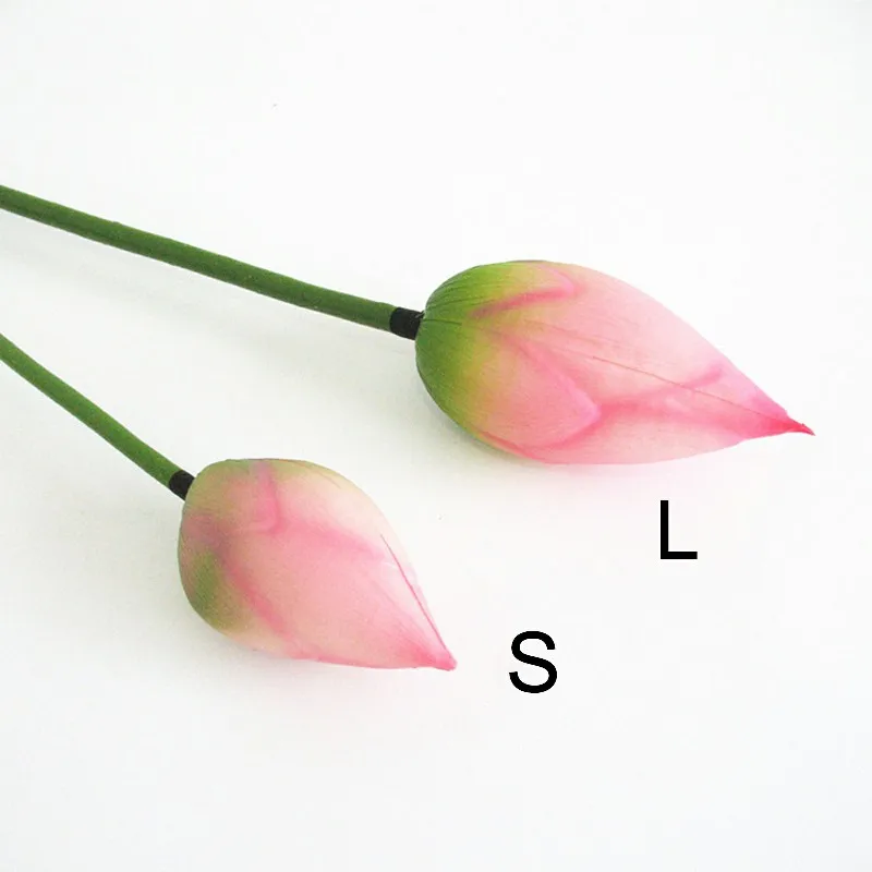 ZYD00640-01-ZYD00640-10-C10