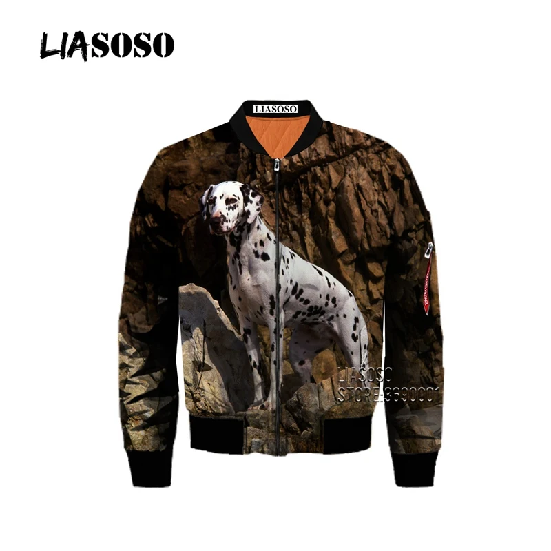 LIASOSO Funny Animal Dogs Cracked wall 3D Print Men Winter Thick Bomber Jacket Flight Jacket Coat Punk Style Retro Tops - Цвет: 3