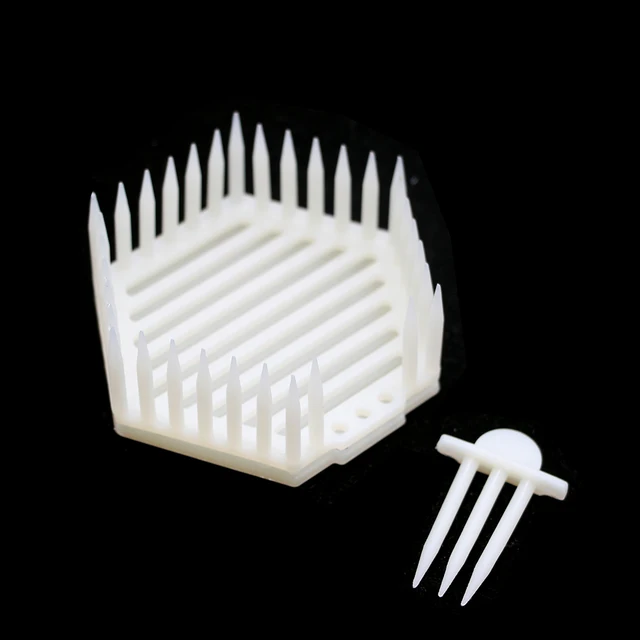 16 db Szűz Méh Ketrec Professzionális Intrudukciós Műanyag Tűcsap Típusú Queen Tenyésztő Apikultúra Szerszámok - Image 6