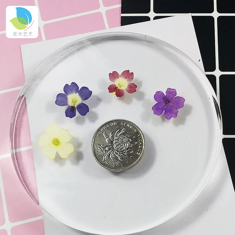 Verbena small Real Dried Flower Dry Plants For Candle Epoxy Resin Pendant Necklace Jewelry Making Craft DIY Accessori | Дом и сад