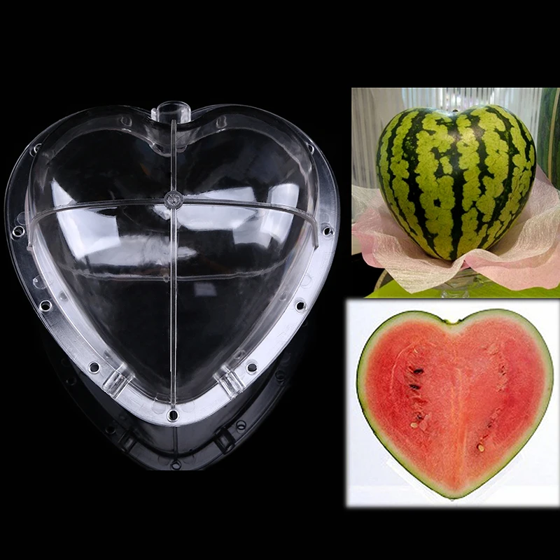 Пластиковая форма для выращивания арбуза в форме сердца 1 шт.|garden grow|plastic gardengarden
