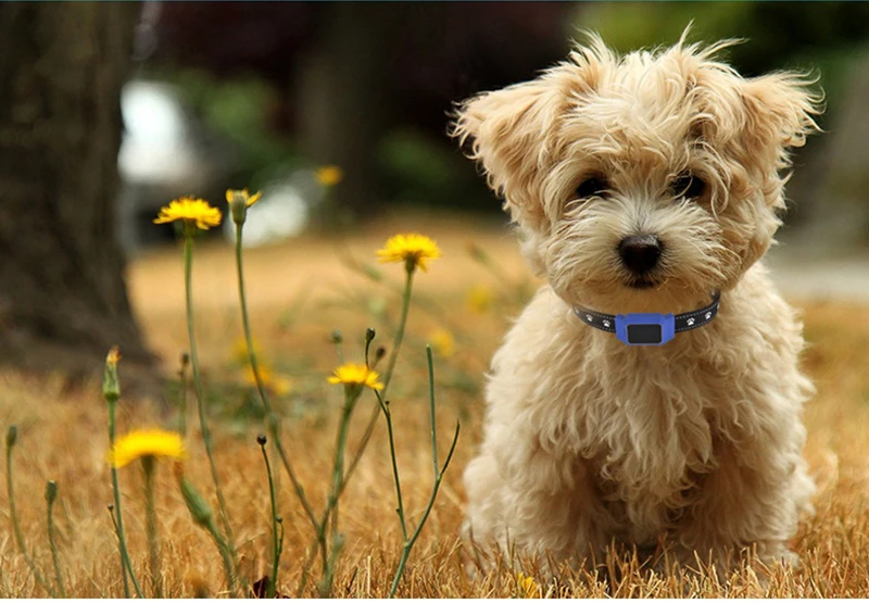 11367877381_210334506