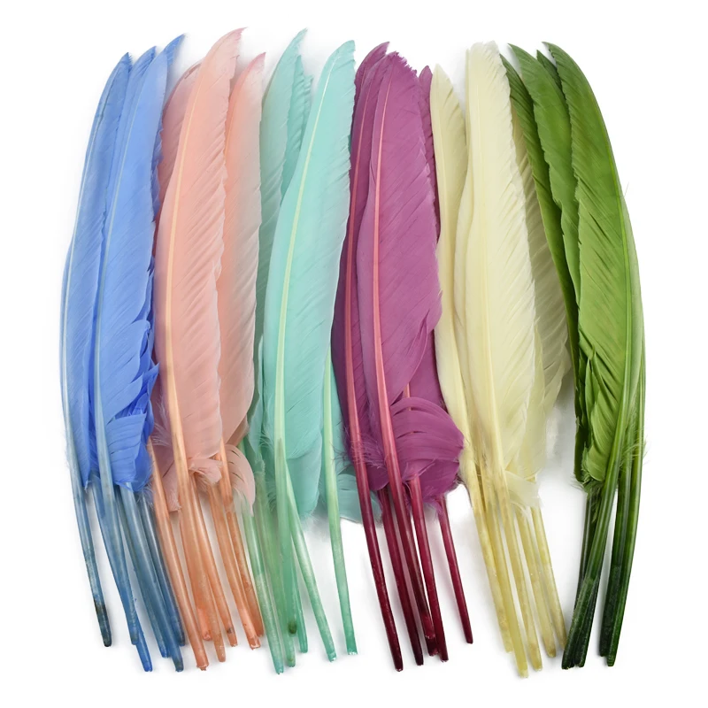 Many Kinds Colored Combinations Goose Ostrich Feathers for Crafts