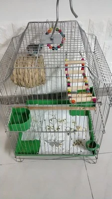 32X31X44 см металлическая клетка для птиц с игрушками попугай чехол для переноски будгеригар голубь Акация топик большая птичья клетка дом для переноски домашних животных