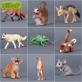 Simulazione Animali Selvatici Zoo Lupo Scimmia Volpe Camaleonte Pangolin Scoiattolo Chinchilla Asino Bradipo Modello Figure Giocattoli educativi