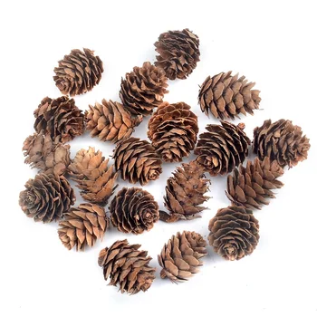

10pcs 3CM Natural Pine Nuts Fruit Artificial Simulation Wedding Party Decoration Family Garden Christmas Tree Accessories