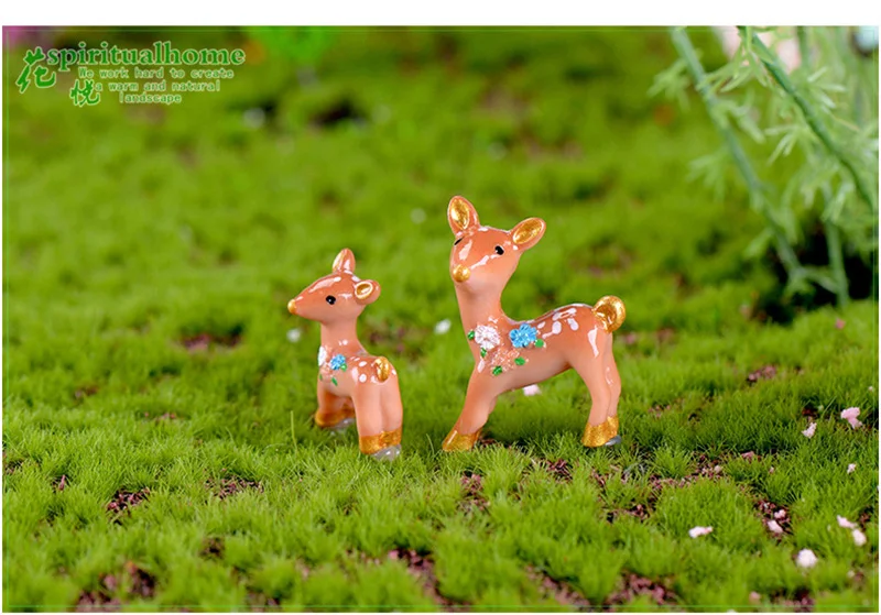 8566284635_393786582