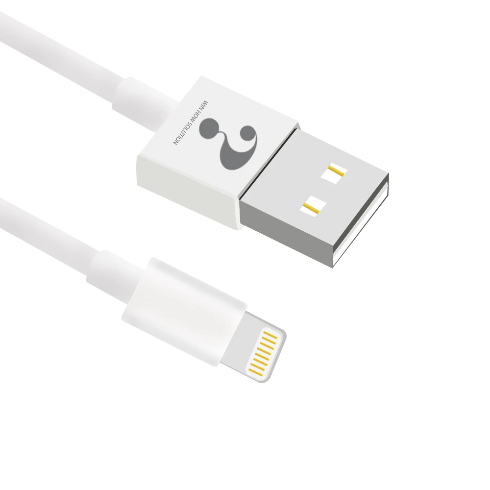 1 м 3,3 фута Lightning к USB кабель, MFi Сертифицированный iPhone зарядное устройство, белый с MFi