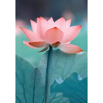 

2020 Meian Flower Full drill embroidery diamond mosaic Flowers Lotus Dragonfly DIY Kits Mosaic art Decorative Rhinestones Decor