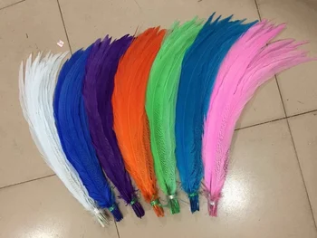 

EMS Free Shipping 50pcs Silver pheasant tails Feathers 55-60cm 22-24inch Long Natural Lady Amherst Pheasant Feather For Carnival
