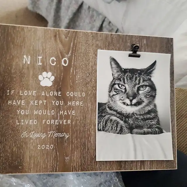 iap_640x640.2421080893_lgr9grge