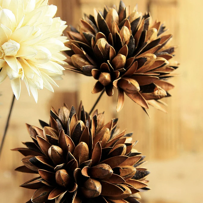 DENISFEN сухие цветы Магнолия ветка ручной работы искусственный цветок гостиная напольная ваза букет украшение дома