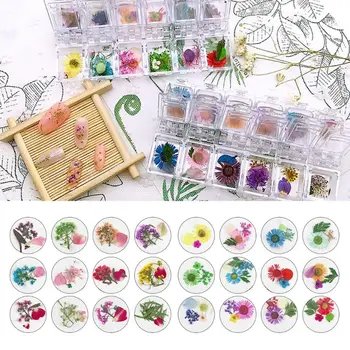 

12Grid/Box Crystal Epoxy Filler Dry Flower Mixed Nail Stickers Decorations Resin Filling Material