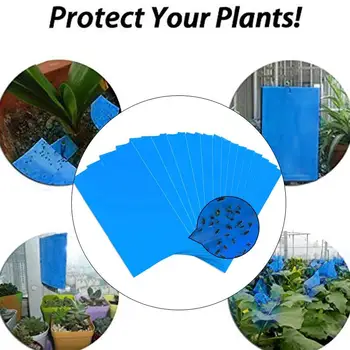 

Blue Board Convenient Economic Strong Flies Traps Bugs Sticky Board Pest Killer Double Side Orchard Fly Trap Aphids Fungus