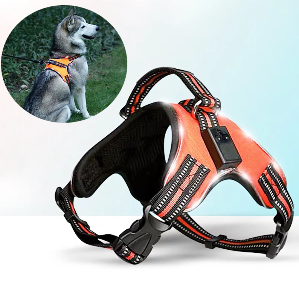 Rechargeable LED Harness for Pets Dog Tailup Nylon Led Flashing Light