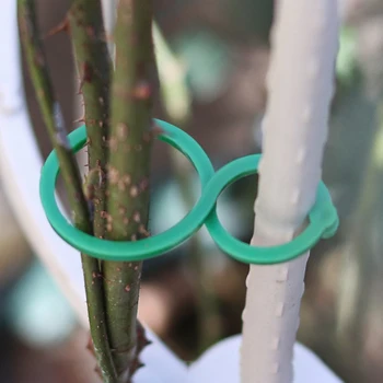 

Convenient Plants Vegetables Hanging Vine Clips Multi-functional Practical Reusable Plastic Garden Green Plant Supporter