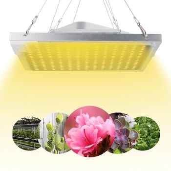 

208 LEDs Quantum Grow Light Board 100W AC85-265V Full Spectrum Plant Lighting Fitolampy For Plants Flowers Seedling Cultivation